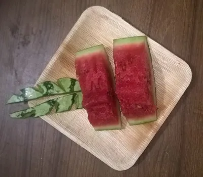 6-Inch Square Areca Leaf Plates - Image 3